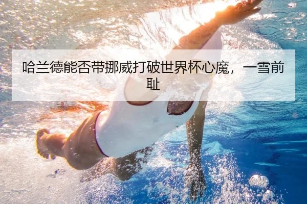 哈兰德能否带挪威打破世界杯心魔，一雪前耻（ayx.com）